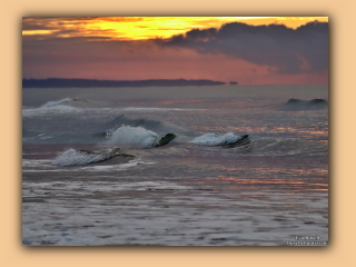Sonnenuntergang am Saltum Strand (9).jpg